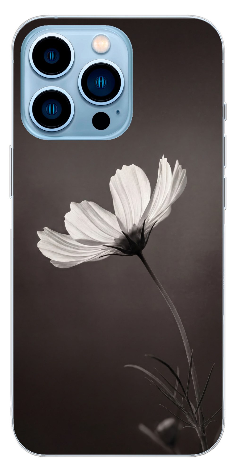 MuchoWow Handyhülle für Apple iPhone 13 Pro Max Blume - Minimalistisch - Schwarz - Weiß, Smartphone-Bumper, Print, Handy Schutzhülle Dünn