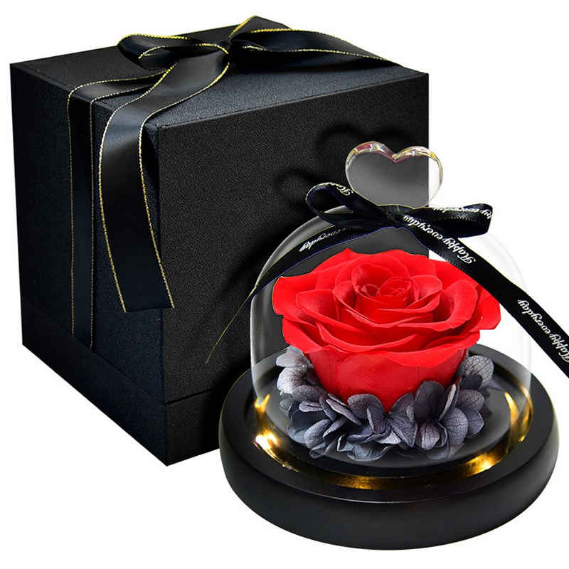 Kunstblume Blume Konservierte Rose Ewige Rose LED Lichterkette Hochzeit, AKKEE, Höhe 13 cm, Geschenke für Valentinstag, Muttertag, Jubiläum, Weihnachtstag