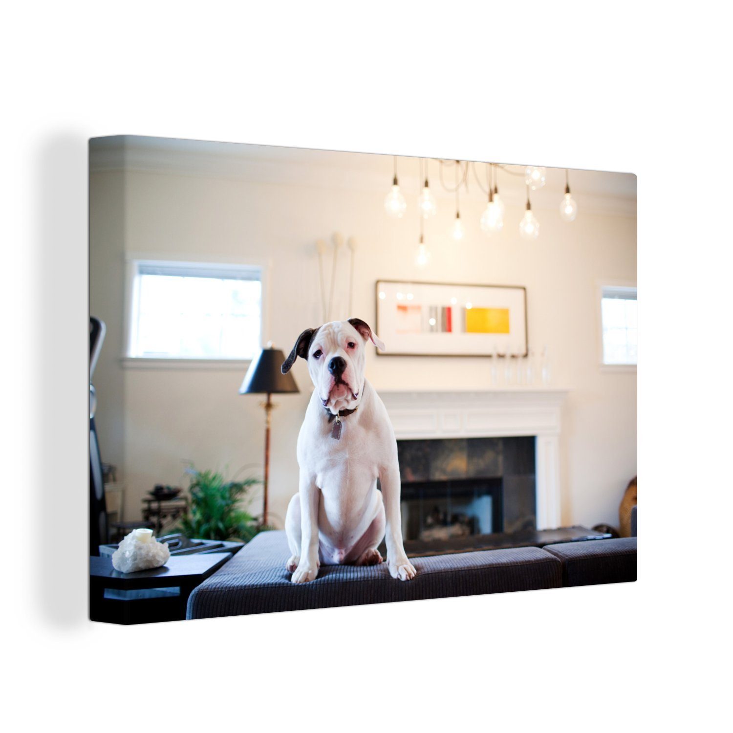 OneMillionCanvasses® Leinwandbild Bulldogge - Wohnzimmer - Sofa, (1 St), Wandbild Leinwandbilder, Aufhängefertig, Wanddeko, 30x20 cm