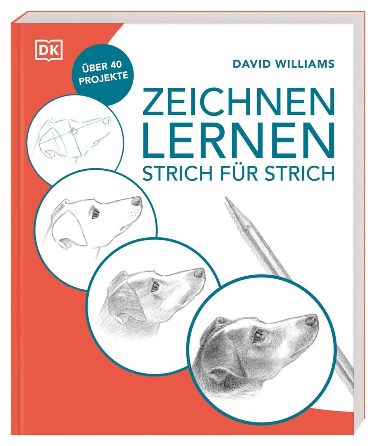 Zeichnen lernen – Strich für Strich / diverse