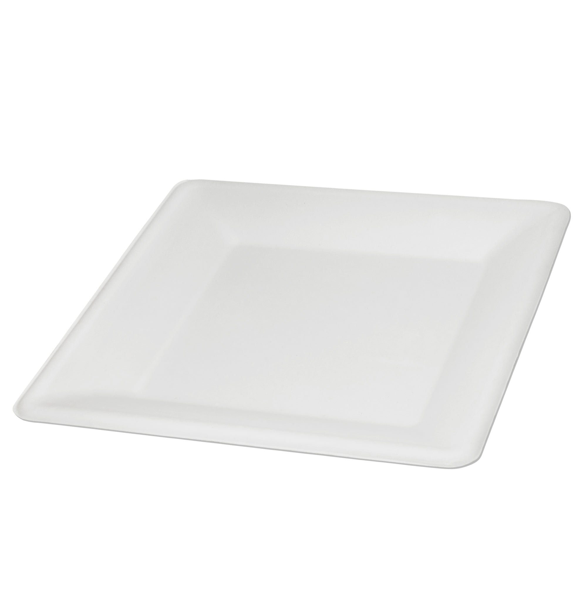 wisefood Einwegteller 100-tlg., Bagasse Teller - quadratisch 26cm, (100 St)