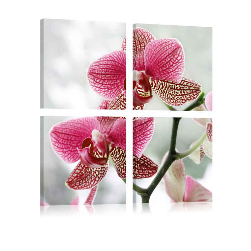 Artgeist Wandbild Ausgefallene Orchidee
