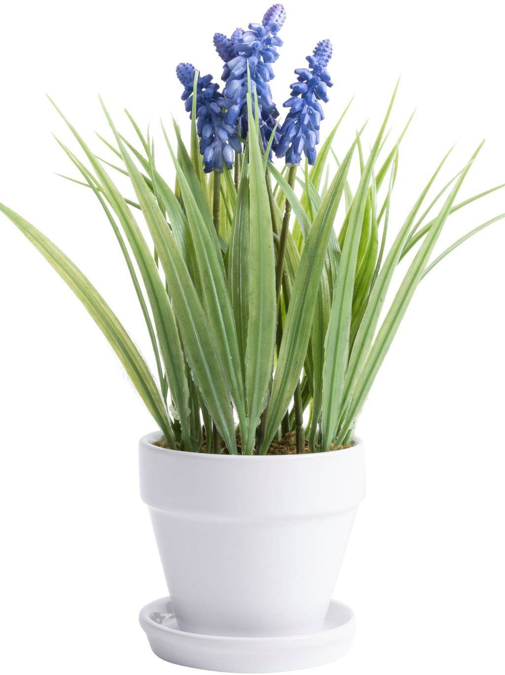Kunstblume Muskari getopft Muskari, Botanic-Haus, Höhe günstig online kaufen
