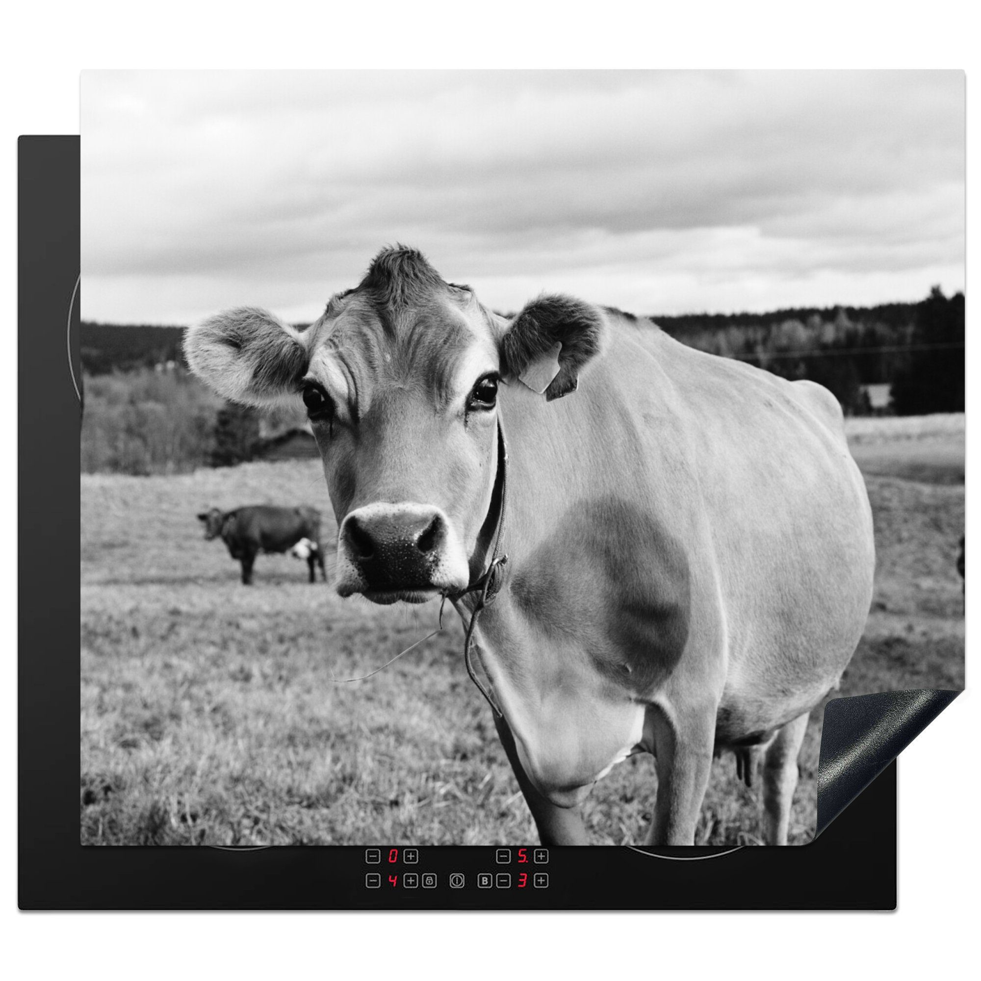 MuchoWow Herdblende-/Abdeckplatte Scharfe Aufnahme einer Kuh, Vinyl, (1 tlg), 59x52 cm, Ceranfeldabdeckung für die küche, Induktionsmatte