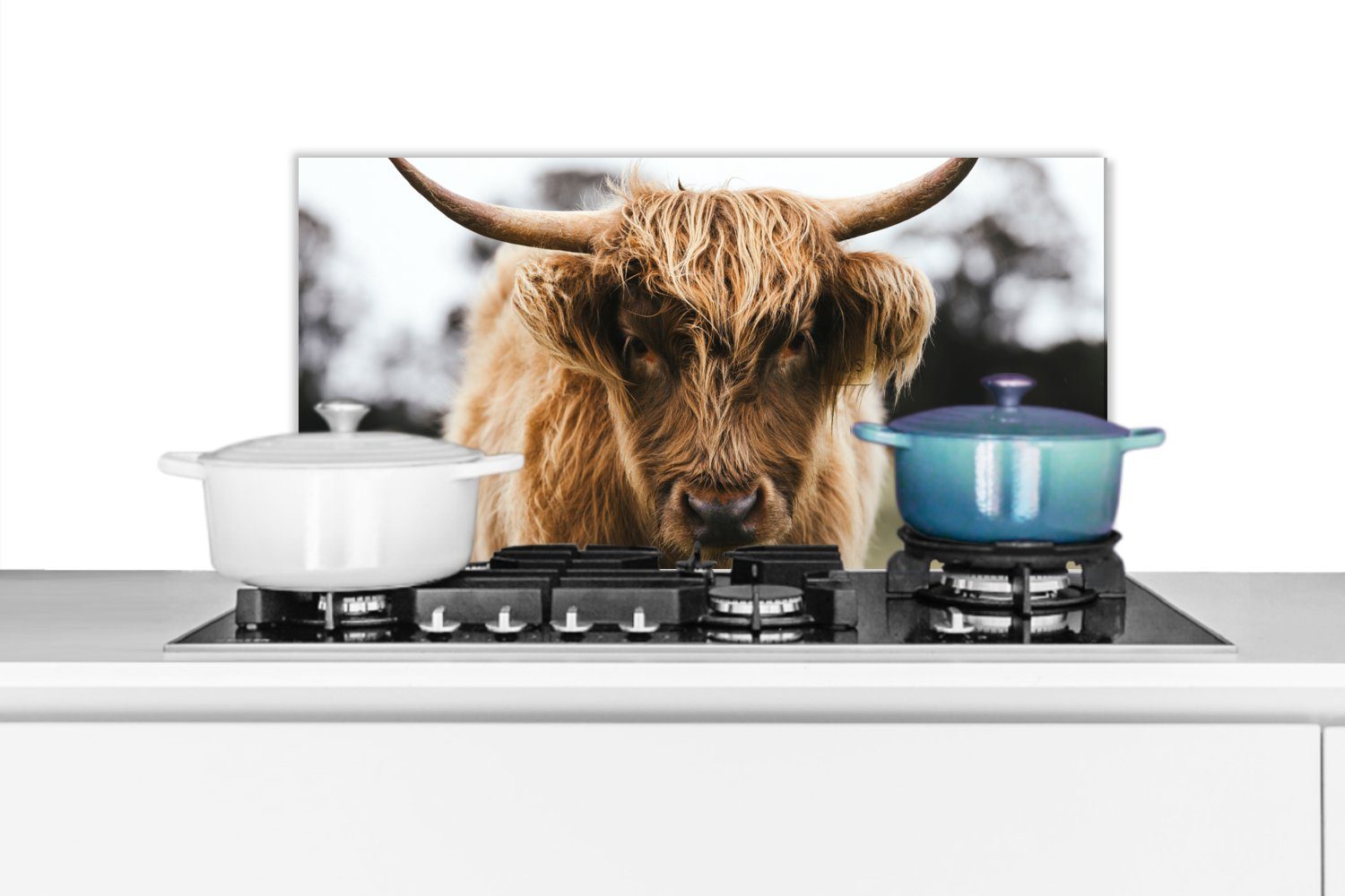 MuchoWow Küchenrückwand Schottischer Highlander - Kuh - Gras - Tiere - Natur, (1-tlg), 60x30 cm, Wandschutz, gegen Fett und Schmutzflecken für Küchen