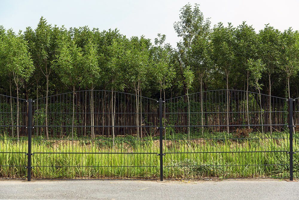 HOME DELUXE Doppelstabmattenzaun Doppelstabmattenzaun BERG anthrazit, Farbe: Anthrazit, Dekor: Berg