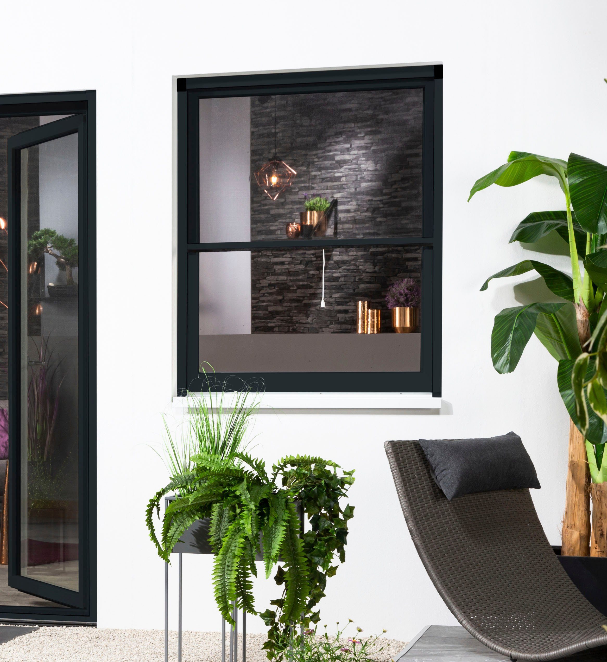 Insektenschutzrollo SMART, hecht international, transparent, verschraubt, für Fenster, kürzbar