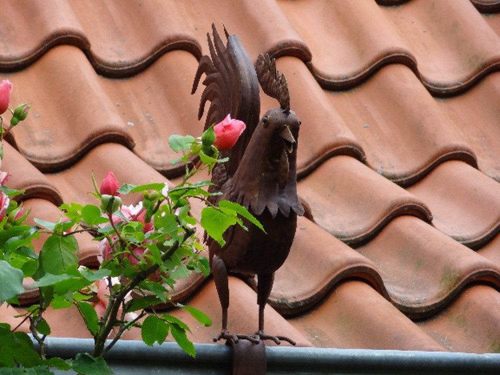 Jürgen Westerholt GmbH Dekofigur Dachrinnenfigur Zaunfigur Außendekoration Tierdeko (Zierfigur Hahn "Konstantin", Ziervogel inklusive Klemmhalterung aus Metall), Dachrinnnen- Deko-Vogel / Gockel in Kupferoptik