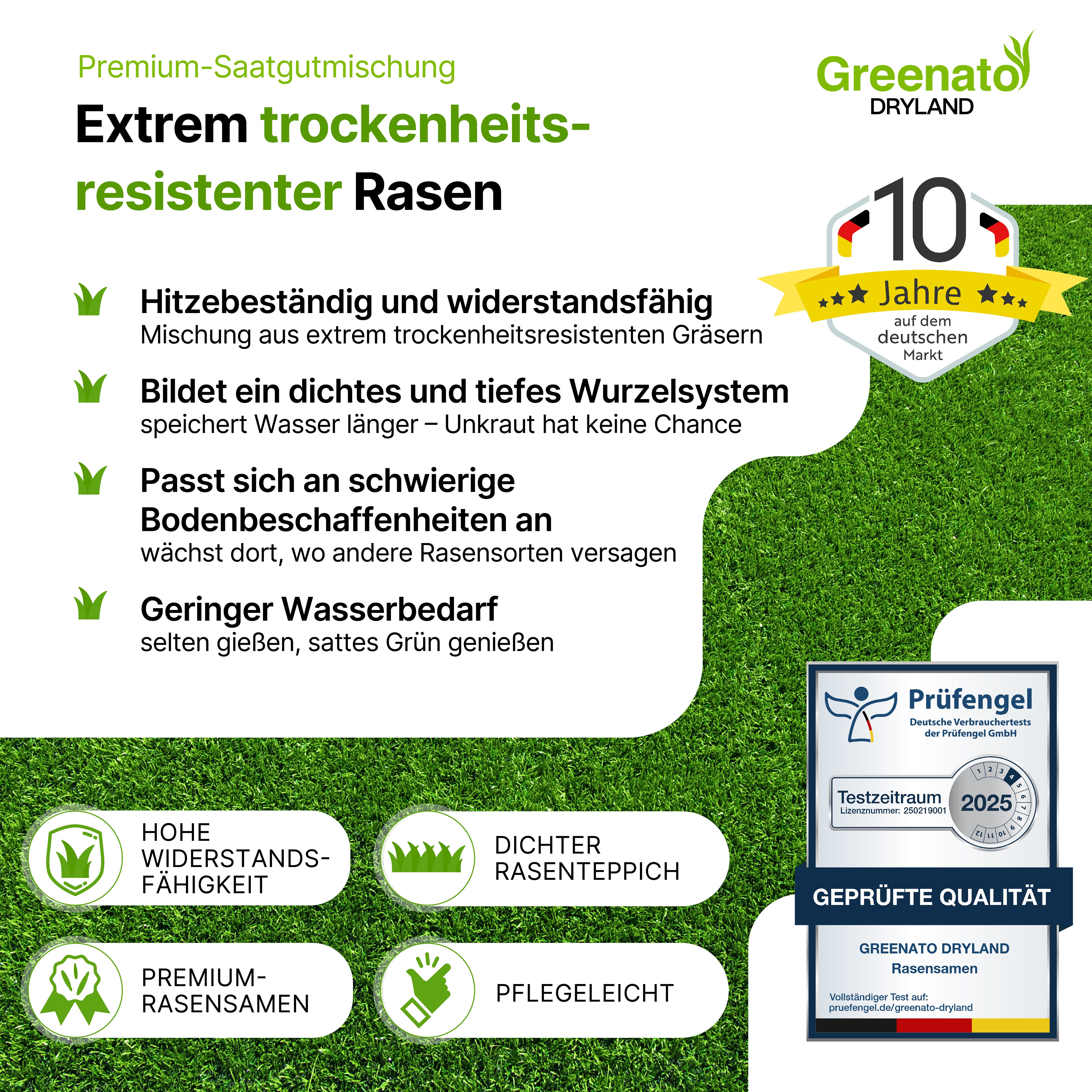 Greenato Rasensamen Dryland dürreresistenter Trockenrasen, 1 kg, – Grassamen schnellkeimend Frühjahr und Herbst