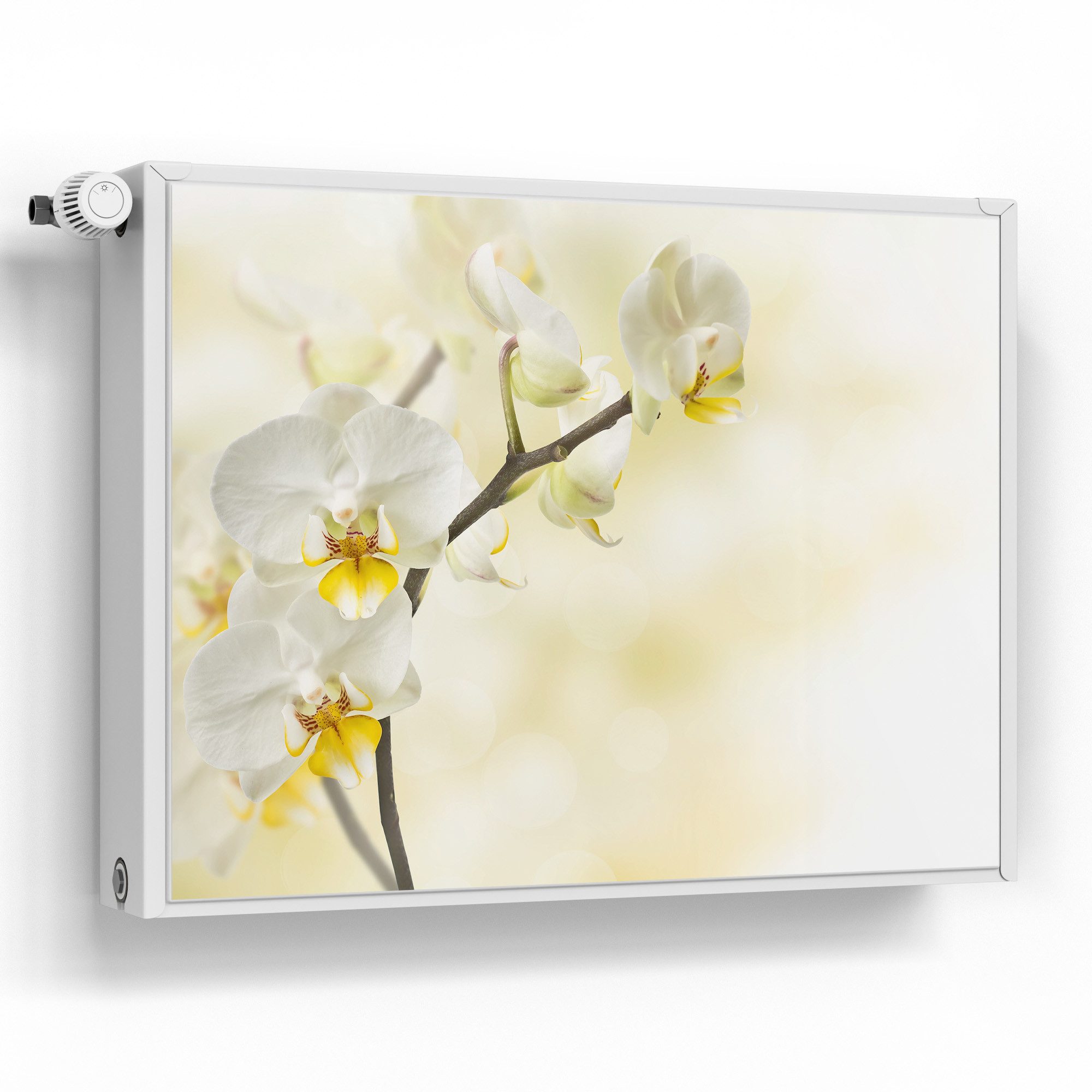 DEQORI Magnetfolie 'Orchideenzauber', beschreibbar Heizung Magnetmatte magnetisch Magnetfolie