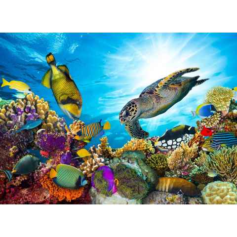 Papermoon Fototapete Coral Reef Fiji, glatt
