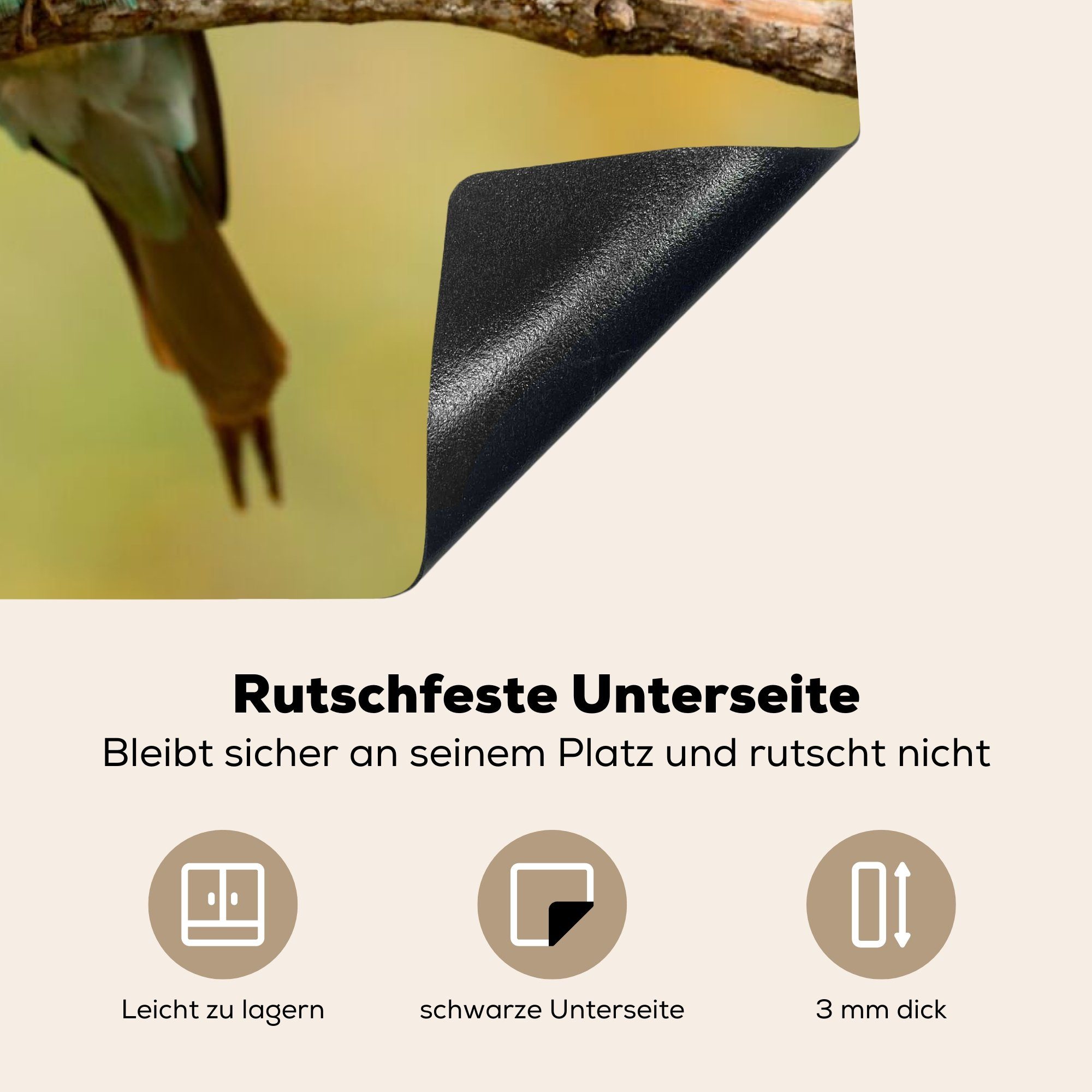 MuchoWow Herdblende-/Abdeckplatte Vogel - (1 cm, Arbeitsplatte Vinyl, 81x52 Tiere, küche Ceranfeldabdeckung, Bienenfresser für - tlg)