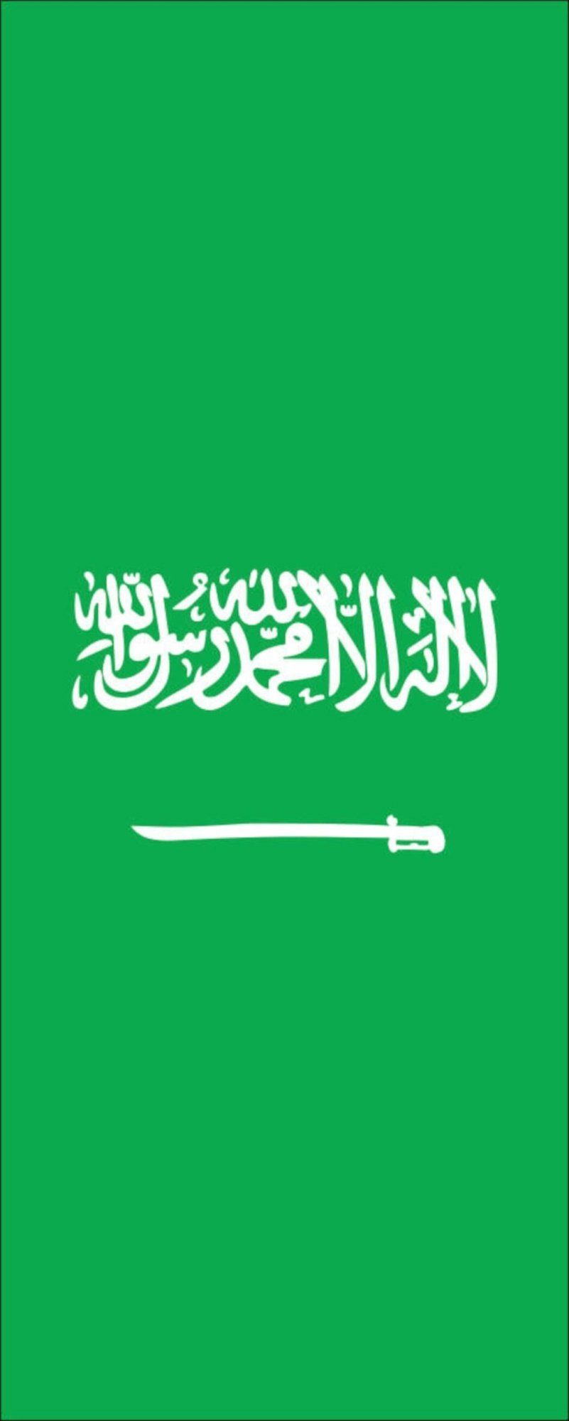 flaggenmeer Flagge Hochformat g/m² Saudi-Arabien 110 Flagge