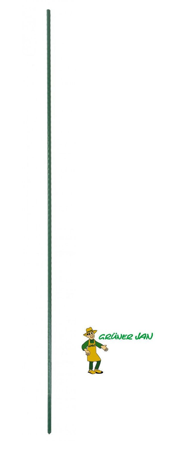 Rankhilfe Metall Blumenstab 100cm Blumenstütze Tomatenstab Rankhilfe Pflanzstab