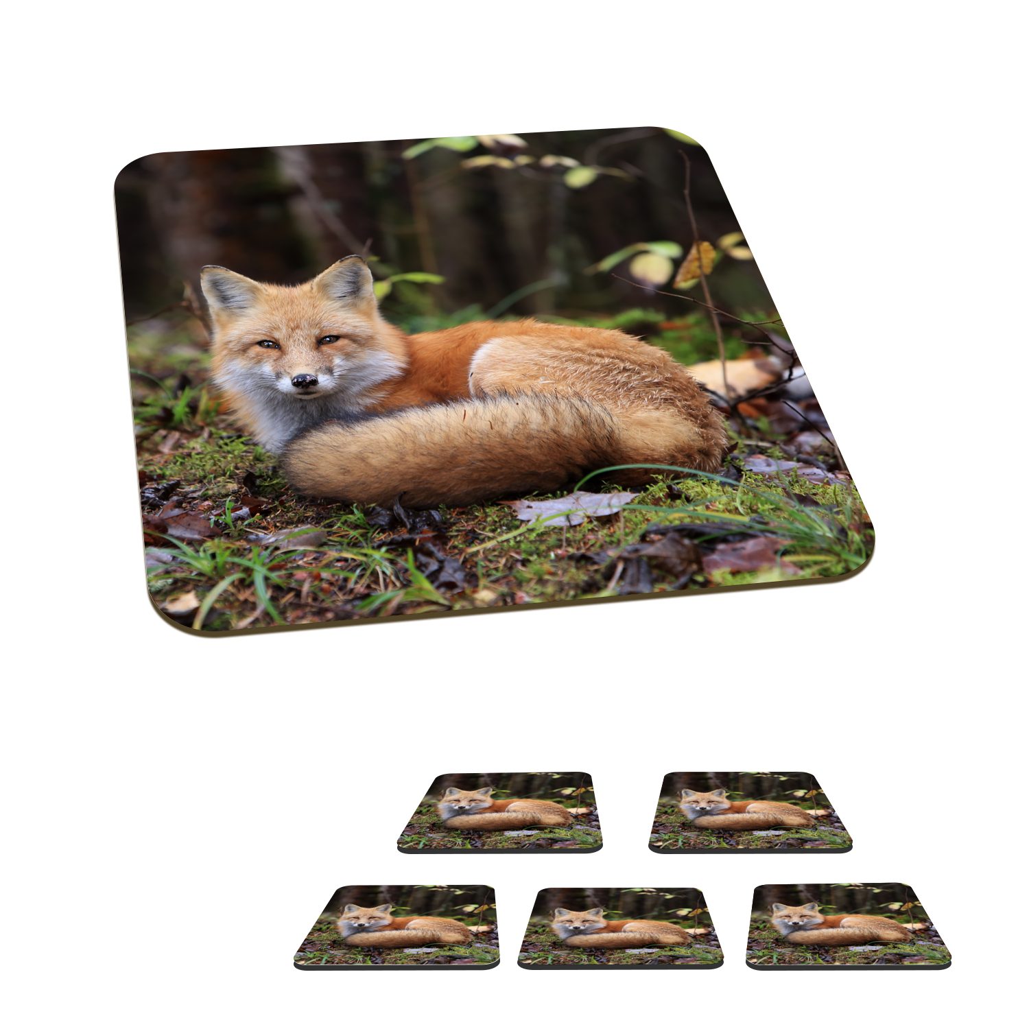MuchoWow Glasuntersetzer Fuchs - Wald - Tier, Zubehör für Gläser, 6-tlg., Glasuntersetzer, Tischuntersetzer, Korkuntersetzer, Untersetzer, Tasse