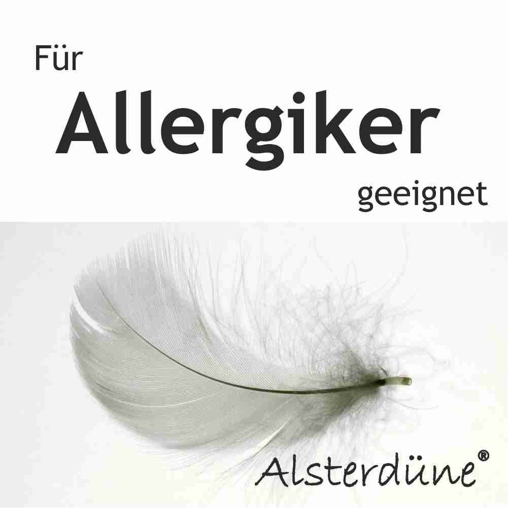 Viscoelastischer Dauerhaft Kopfkissen Schaum, Alsterdüne® Füllung: Bezug: antibakteriell, Kopfkissen, Medipur, Bezug viscoelastisches antibaketreiller Alsterdüne, original