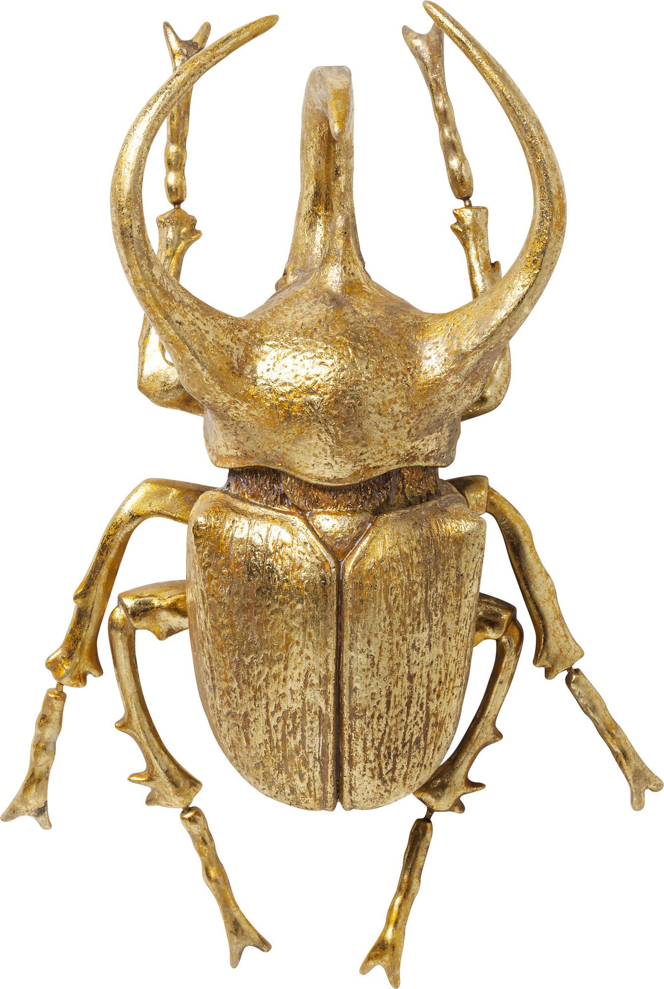 Wanddekoobjekt Wandobjekt Atlas Beetle Gold