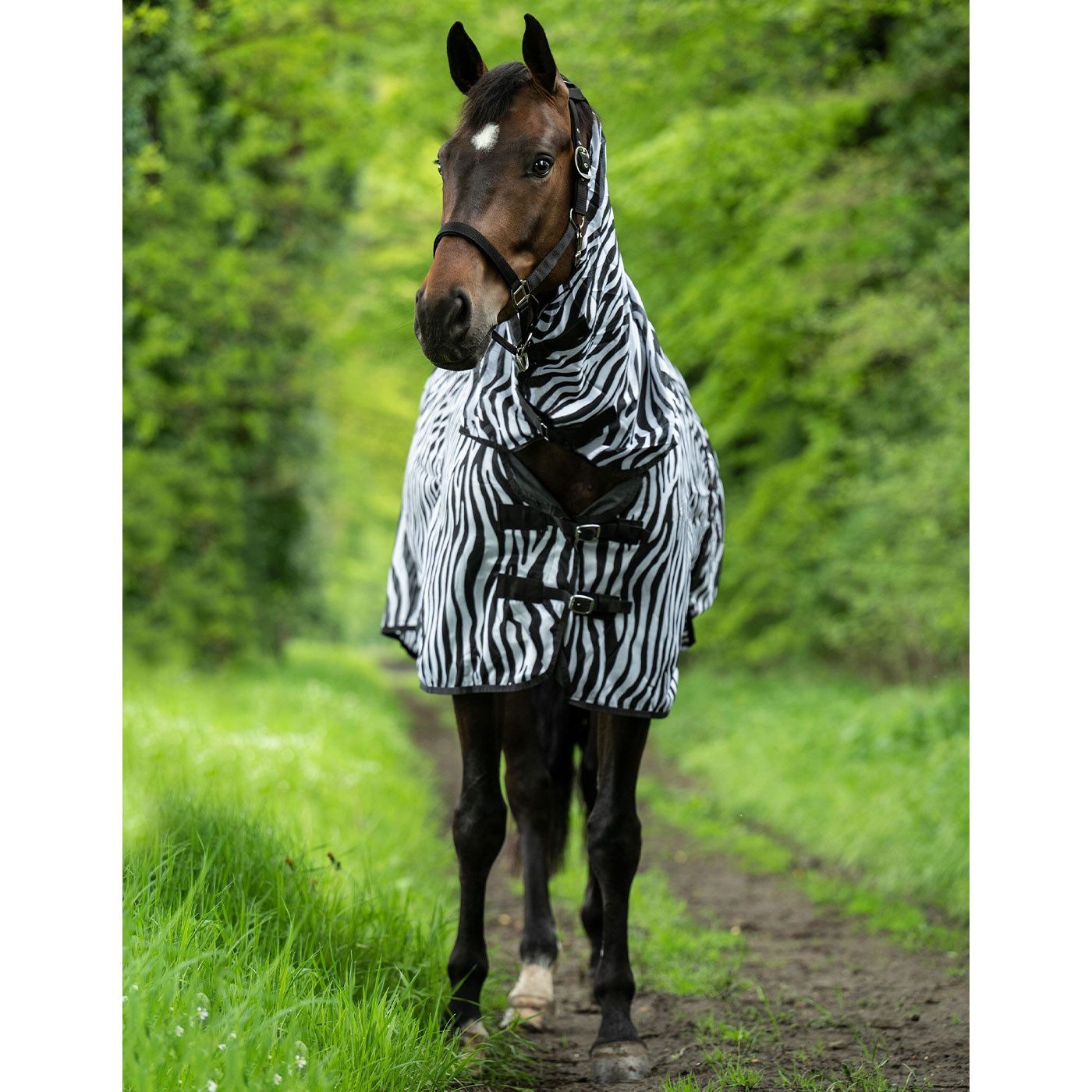 HKM Pferde-Fliegendecke Zebra mit Halsteil und Bauchlatz