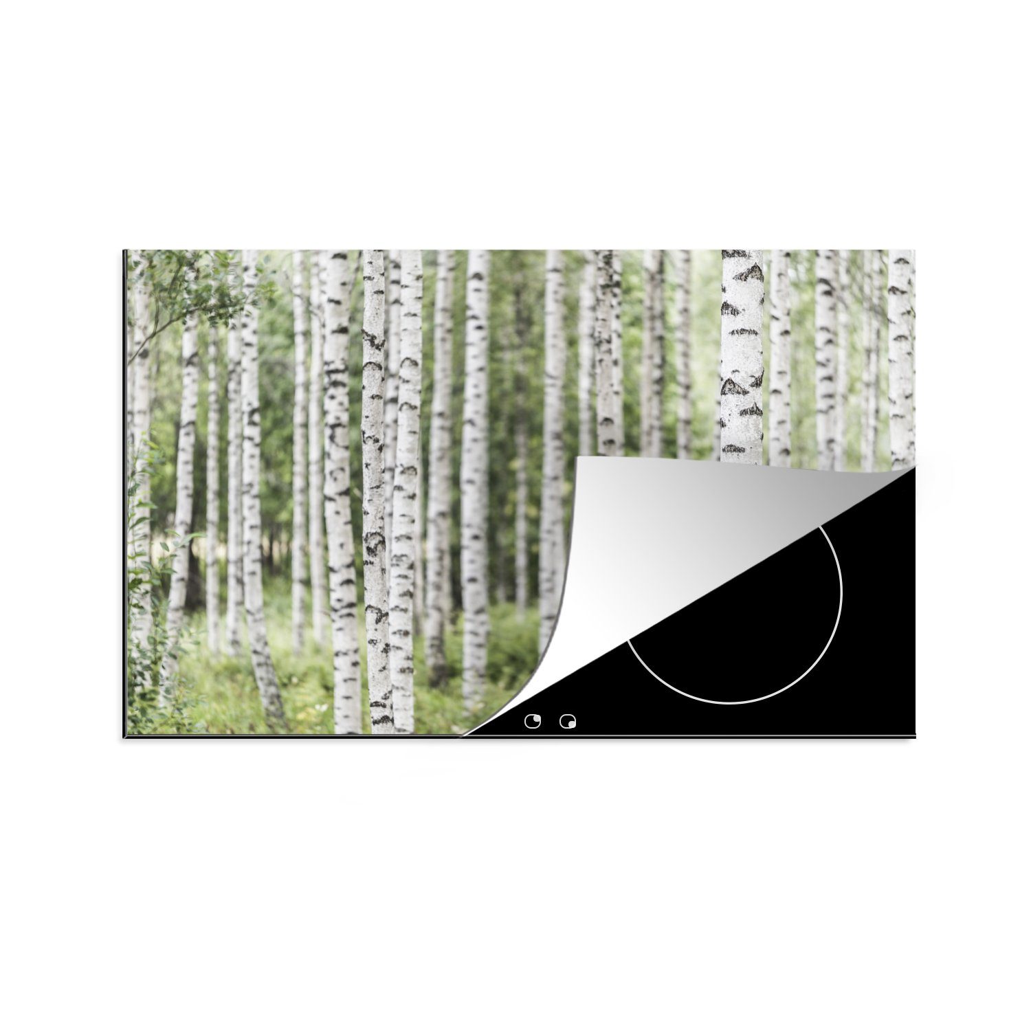 Ein cm, Herdblende-/Abdeckplatte (1 Schutz mit MuchoWow ausgewachsener Ceranfeldabdeckung Baumstämmen, küche, für tlg), Birkenwald die Induktionskochfeld 81x52 Vinyl,