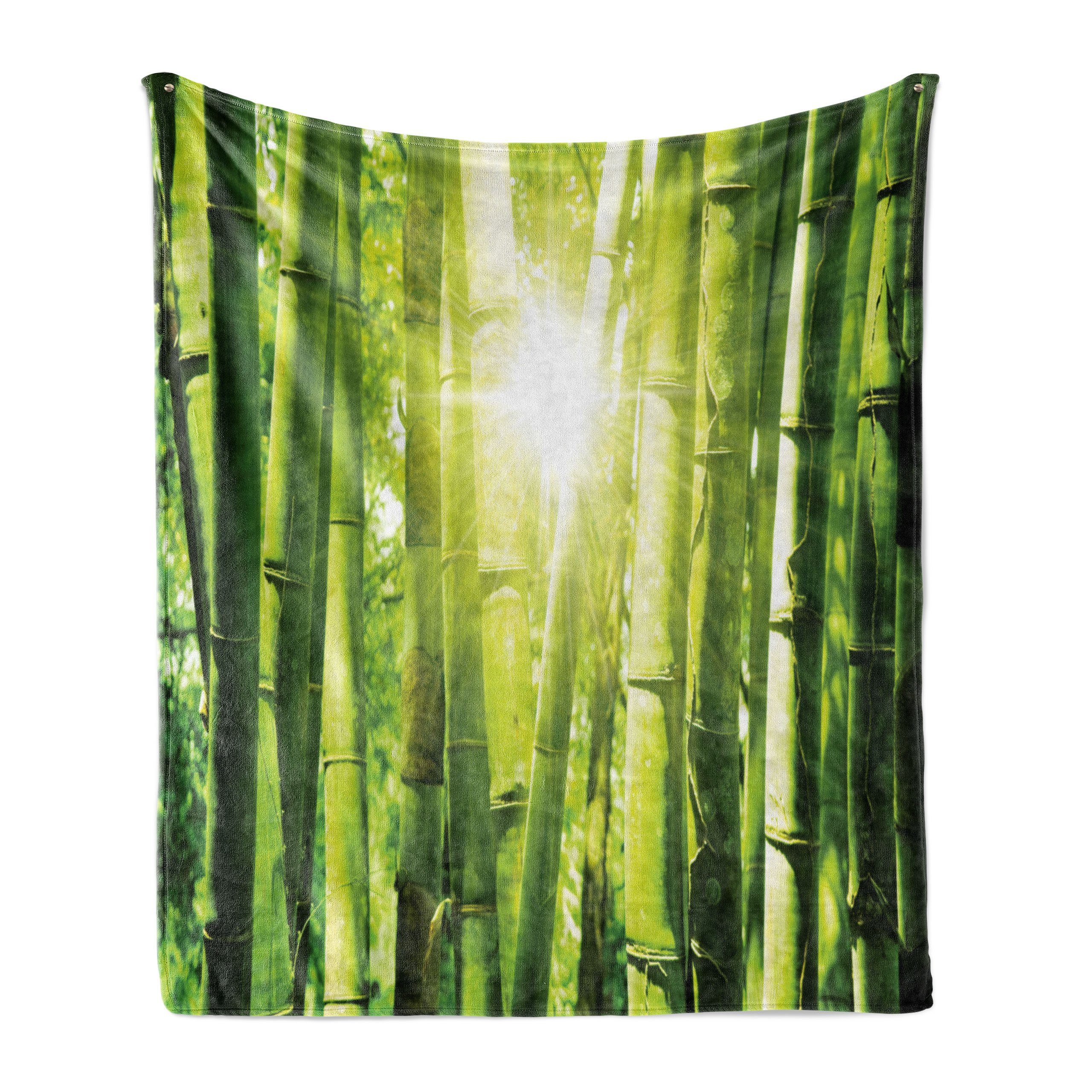 Wohndecke Gemütlicher Plüsch für den Innen- und Außenbereich, Abakuhaus, Bambus Sun-Strahlen in Wild Jungle | Wohndecken