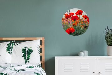 MuchoWow Wandsticker Mohn - Blumen - Rot - Lila - Wiese (1 St), Tapetenkreis für Kinderzimmer, Tapetenaufkleber, Rund, Wohnzimmer