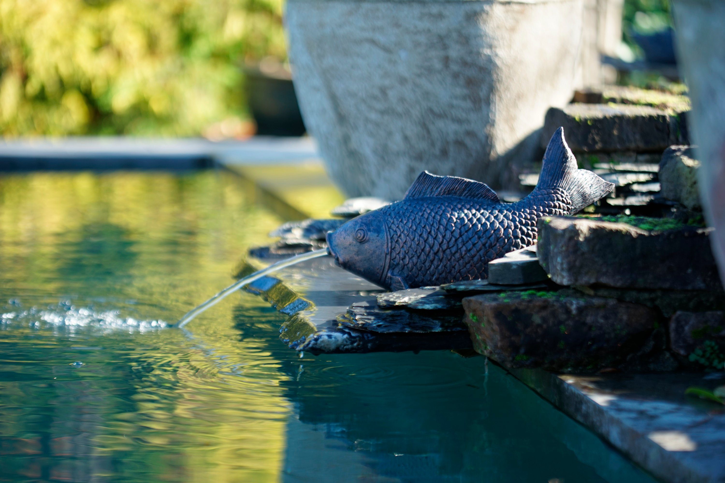 XL, 14x35x19 cm Fisch Wasserspeier BxLxH: Ubbink