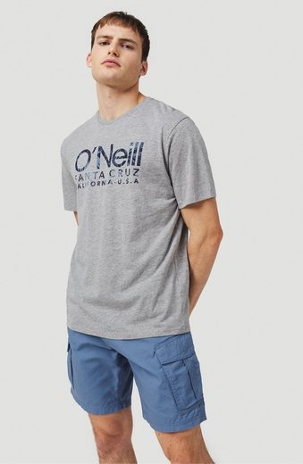 O'Neill Shorts »Filbert cargo«