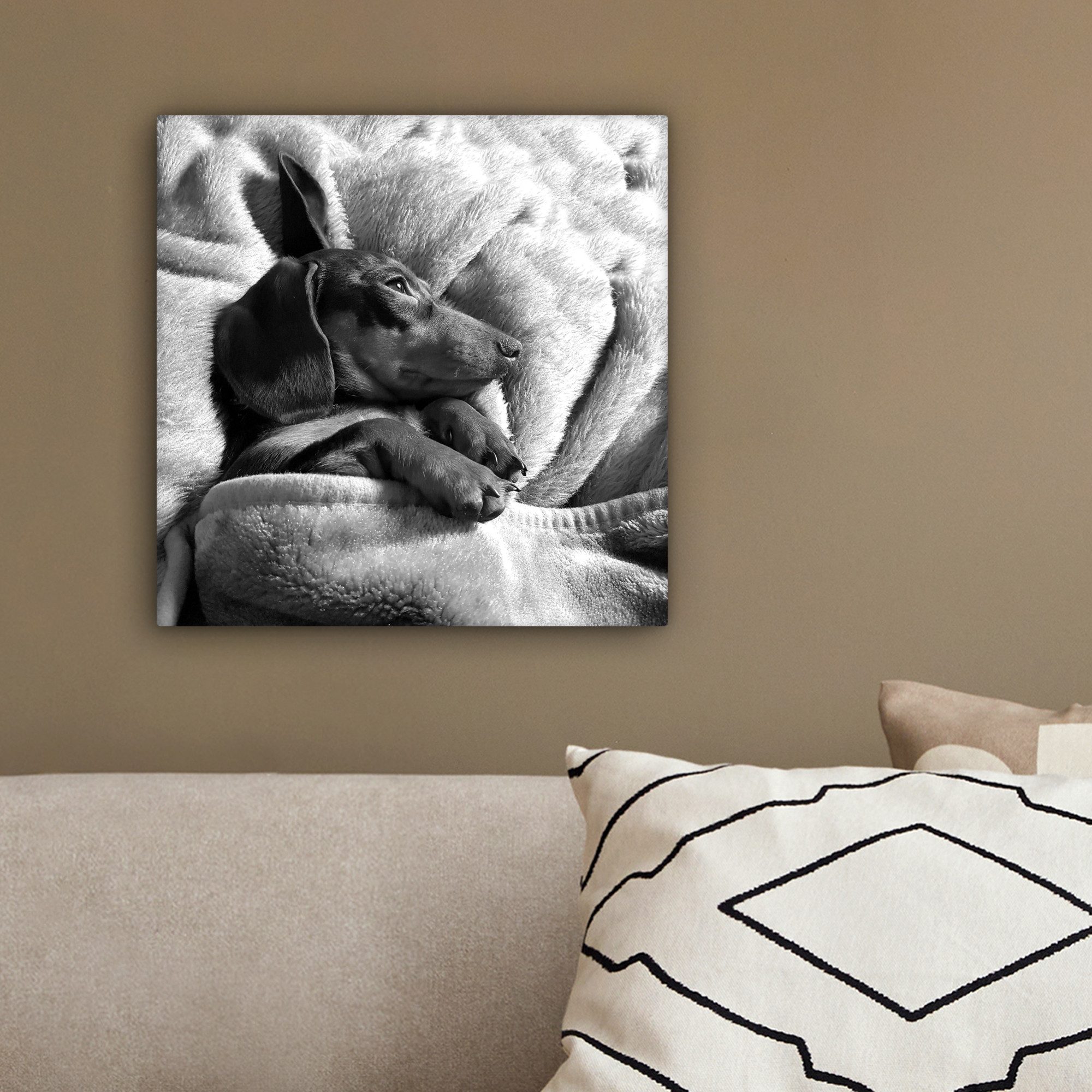 OneMillionCanvasses® Leinwandbild Niedlicher Dackel liegt unter der Bettdecke, Fotodruck (1 St), Wandbild, Deko Schlafzimmer Wohnzimmer Flur 20x20 cm – Bild 4 von 5