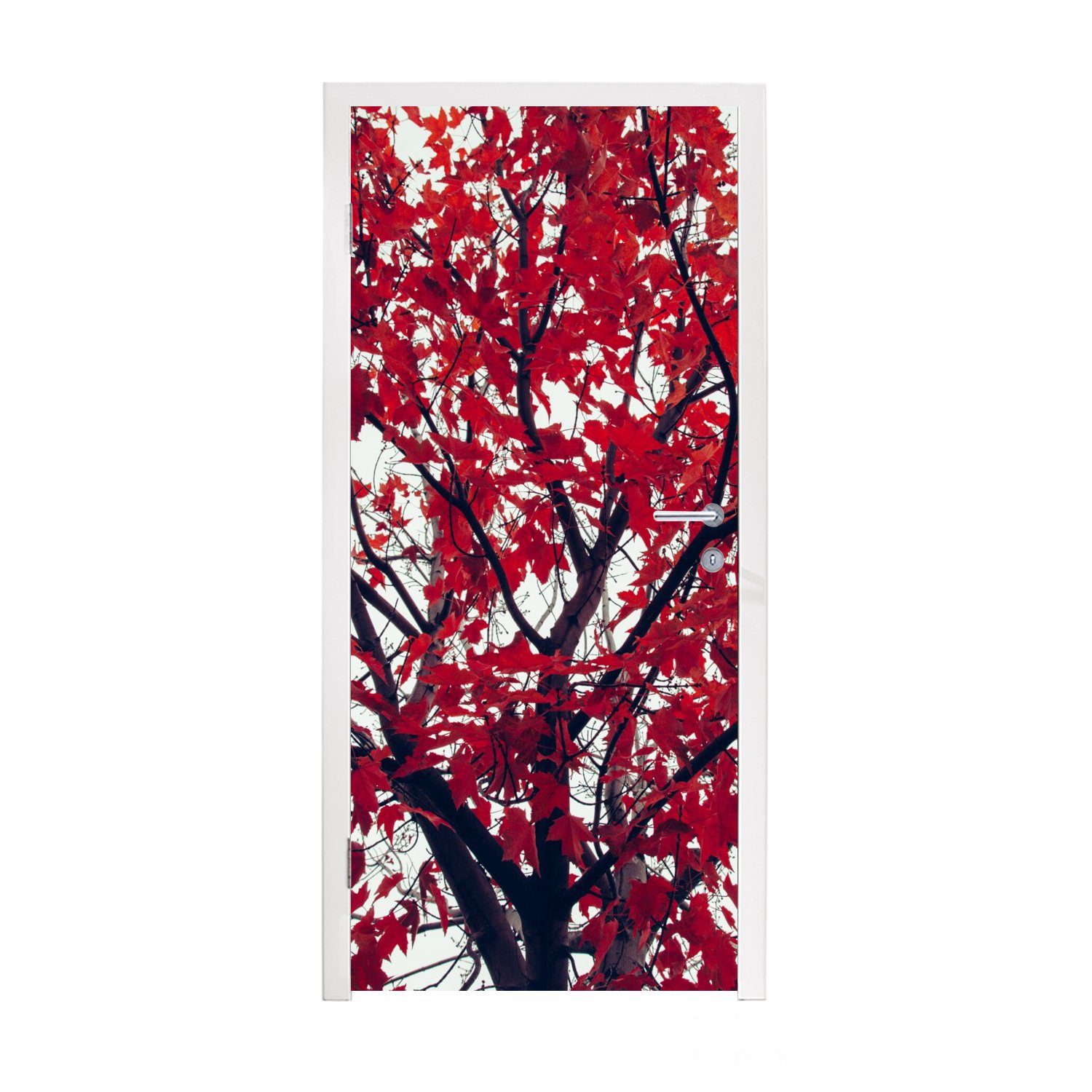 MuchoWow Türtapete Ahorn - Blätter - Herbst - Natur, Matt, bedruckt, (1 St), Fototapete für Tür, Türaufkleber, 75x205 cm