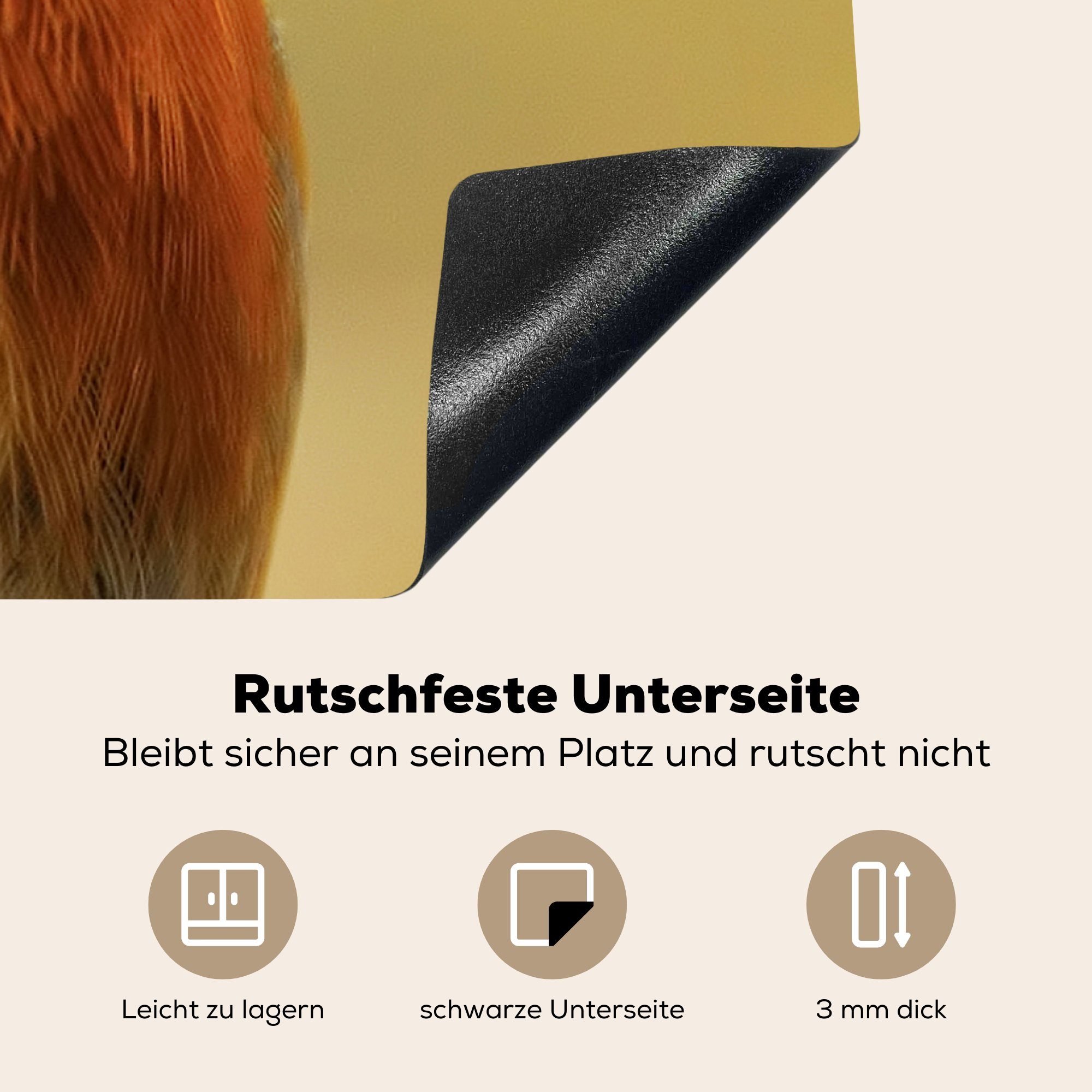 MuchoWow Herdblende-/Abdeckplatte Vogel - Rotkehlchen cm, küche für (1 Porträt, Ceranfeldabdeckung, Vinyl, tlg), 78x78 - Arbeitsplatte
