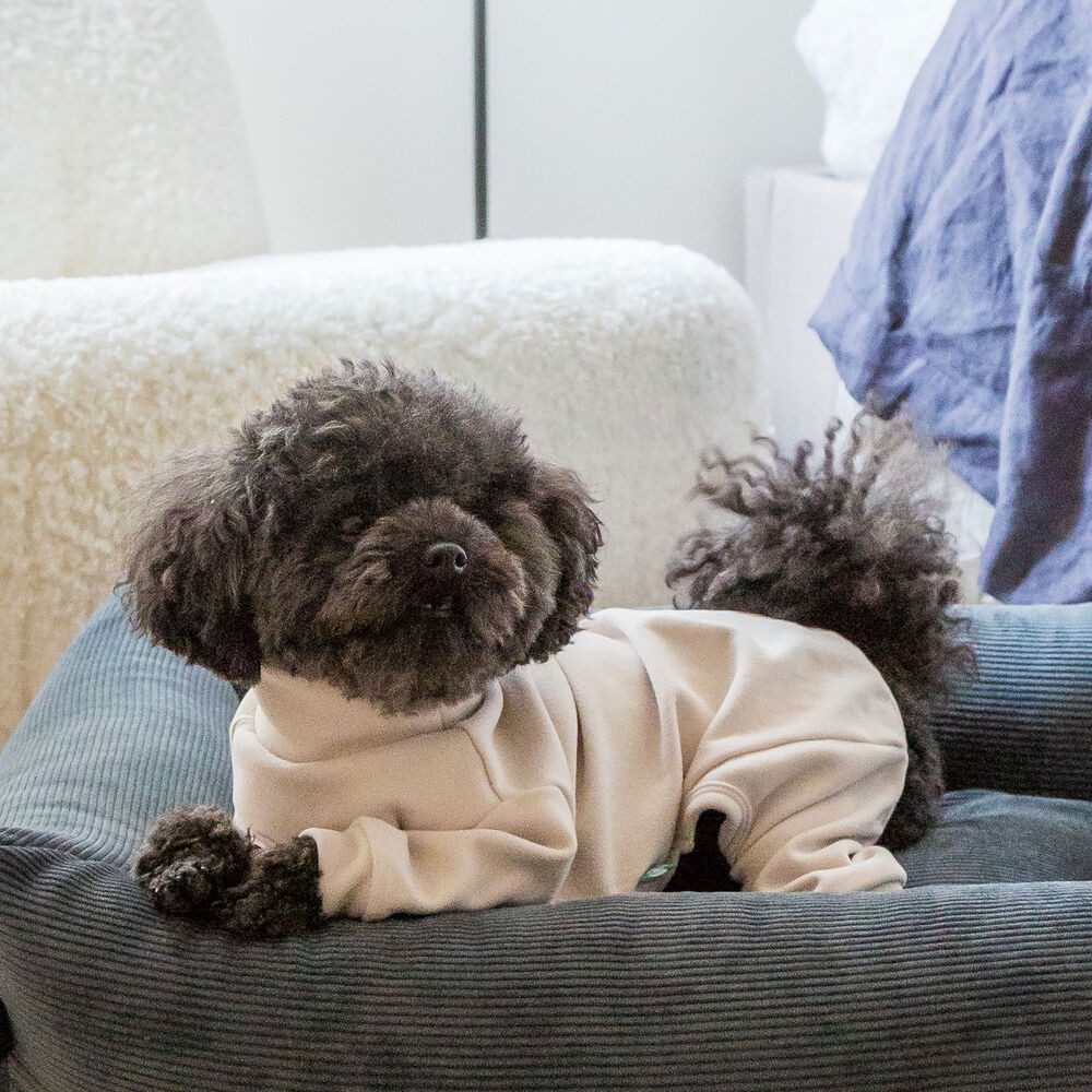 FuzzYard LIFE Hundeoverall FuzzYard LIFE Soft Touch Hunde Pyjama Schlafanzug