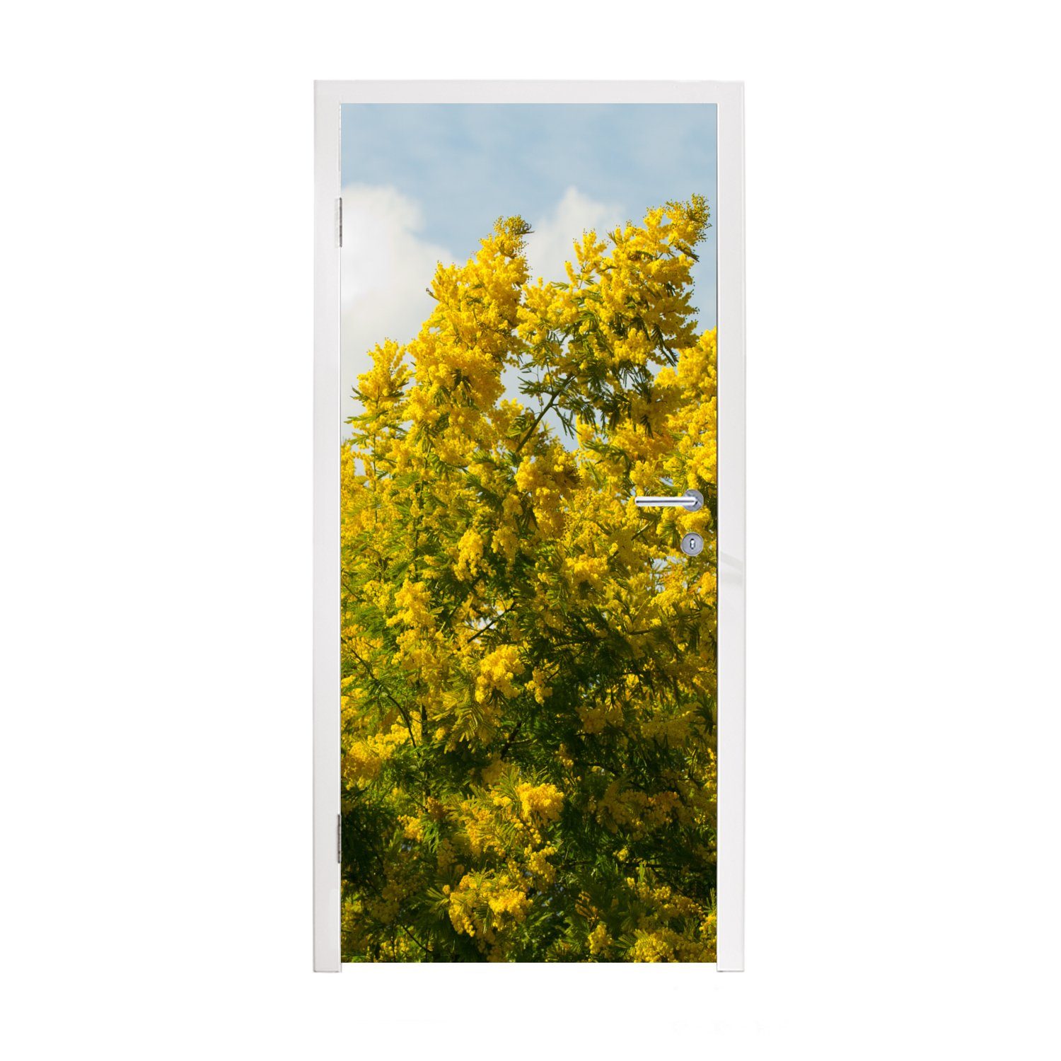 Himmel, mit MuchoWow Tür, (1 cm für Fototapete Türtapete Türaufkleber, 75x205 blauem St), bedruckt, Mimosenblüten Matt,