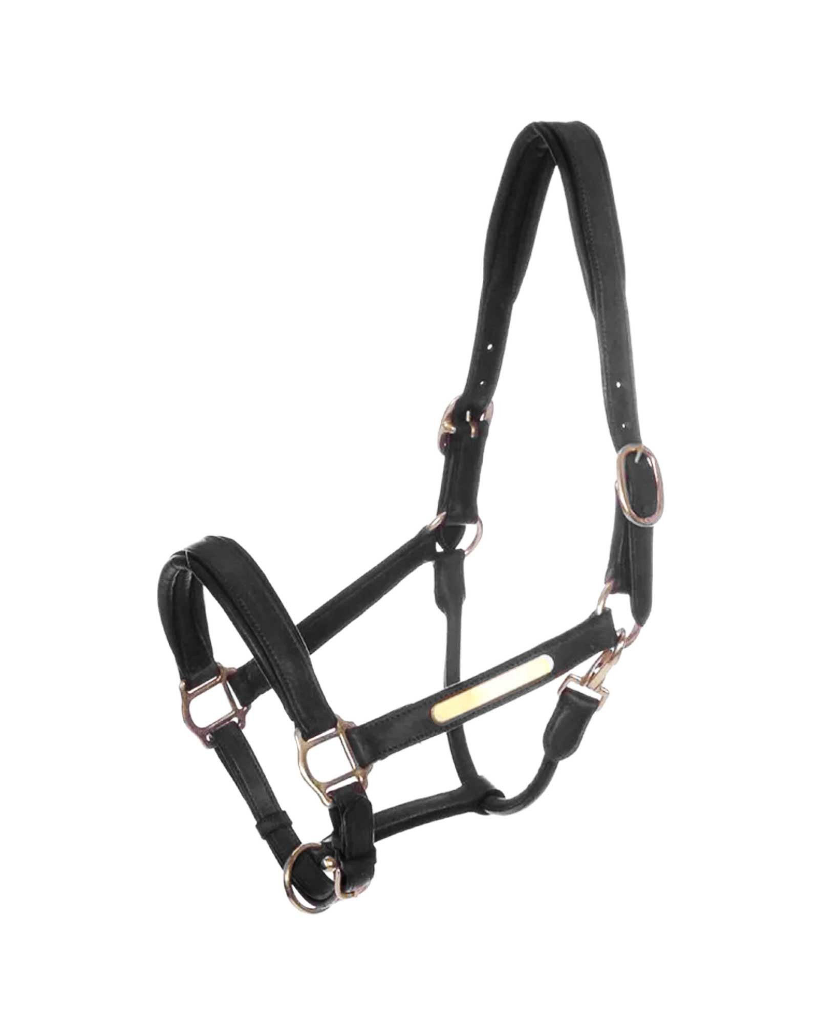 Kavalkade Halfter Lederhalfter Soft "Nordic"