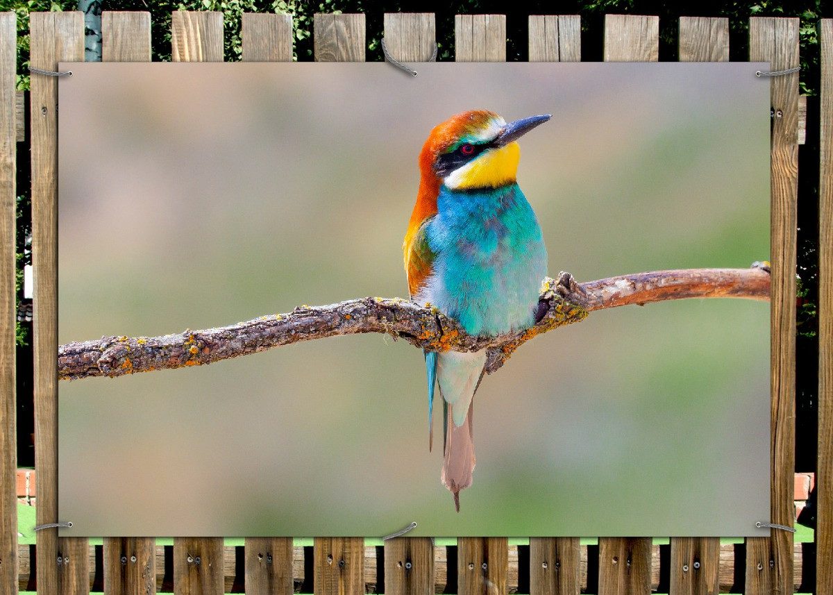 Wallario Sichtschutzzaunmatten Vogel auf Ast