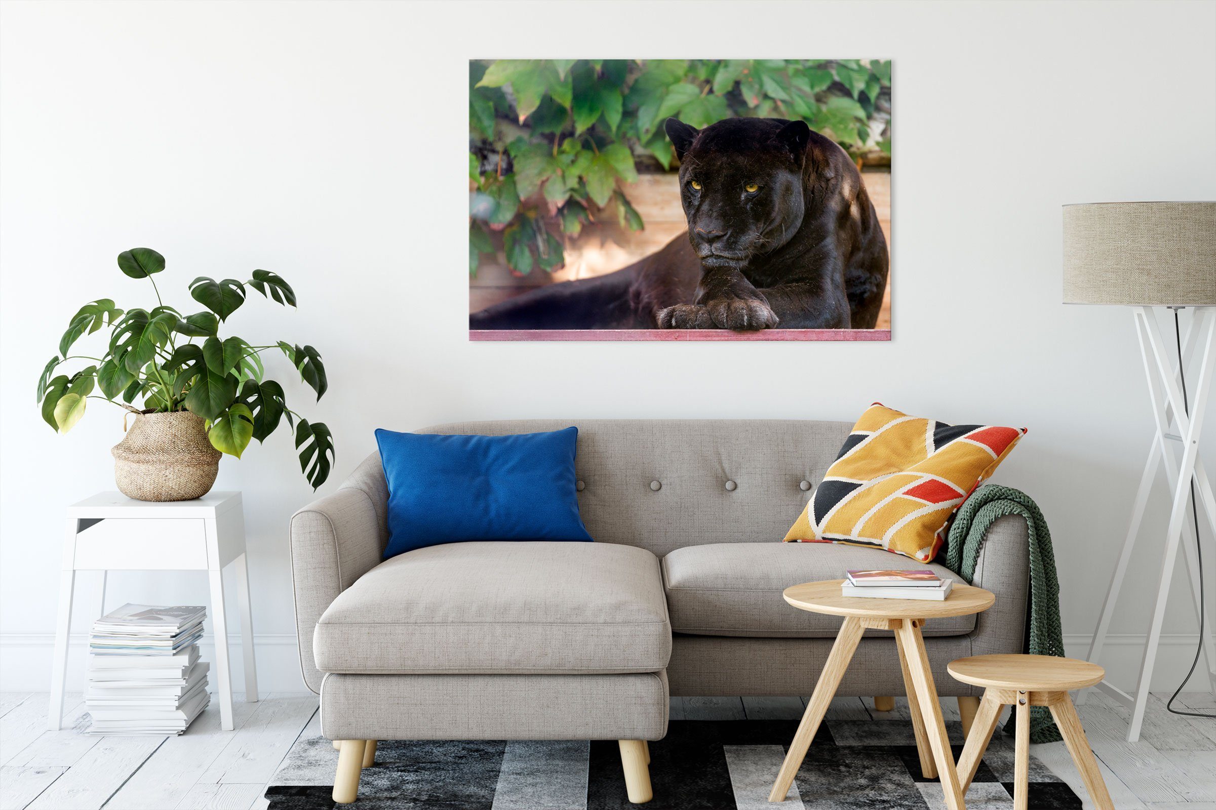schöner (1 schwarzer schwarzer inkl. fertig schöner Panther, Leinwandbild Panther Zackenaufhänger Pixxprint bespannt, Leinwandbild St),