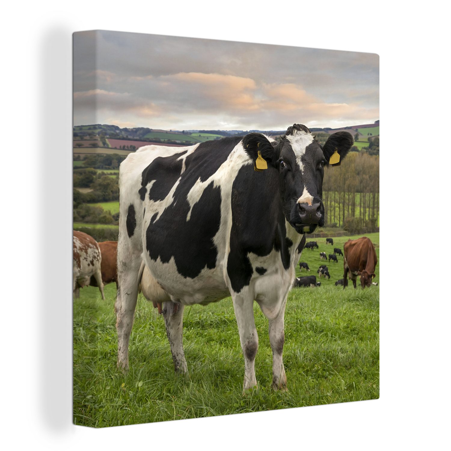 OneMillionCanvasses® Leinwandbild Kuh - Berg - Gras - Tiere, (1 St), Leinwand Bilder für Wohnzimmer Schlafzimmer bunt