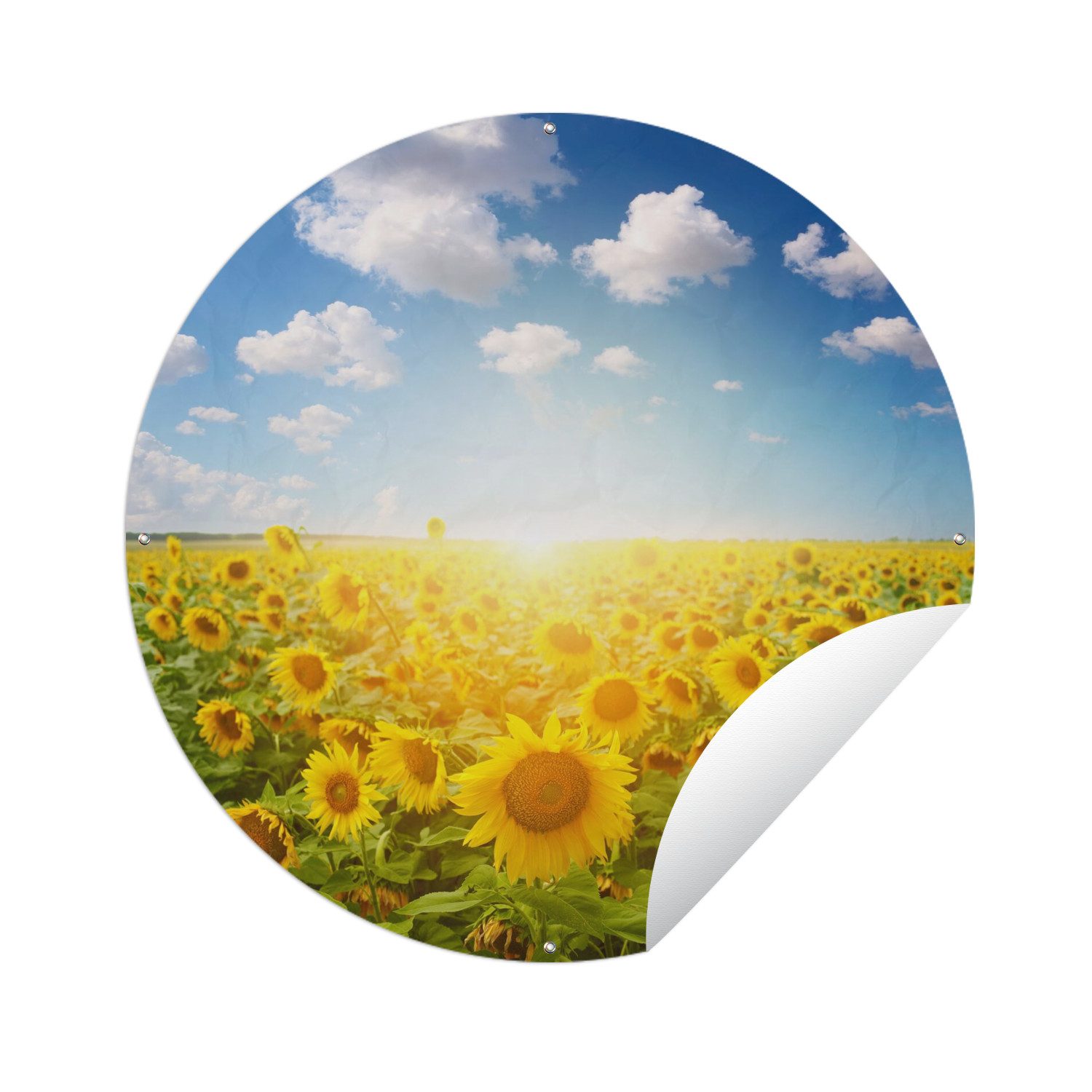 OnlyWow Poster für Garten Sonnenblume - Sonne - Wolken, Gartenposter, Outdoor Bilder, Wetterfest, Garten Deko, 60x60 cm