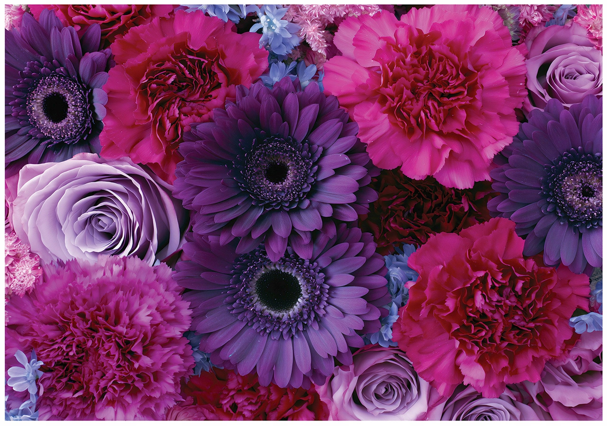 Wallarena Fototapete Blumen Vlies reißfest 3D UV-beständig Schlafzimmer Wohnzimmer, glatt, 3D-Effekt, 150 x 105 cm