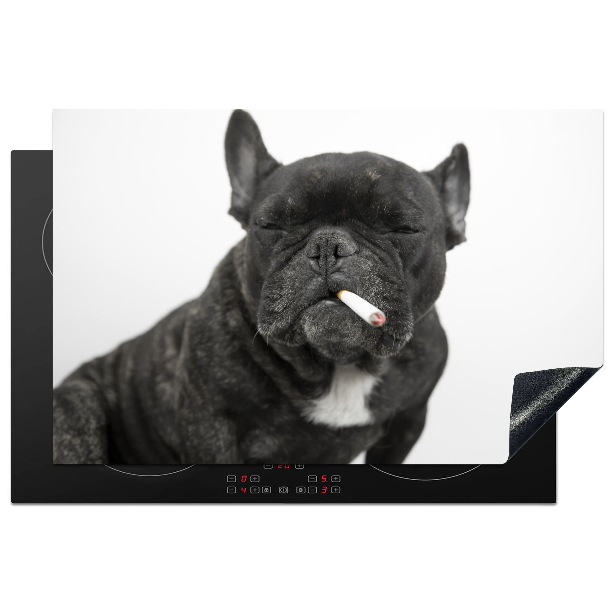 MuchoWow Herdblende-/Abdeckplatte Hund - Tier - Rauchen, Vinyl, (1 tlg), 81x52 cm, Induktionskochfeld Schutz für die küche, Ceranfeldabdeckung