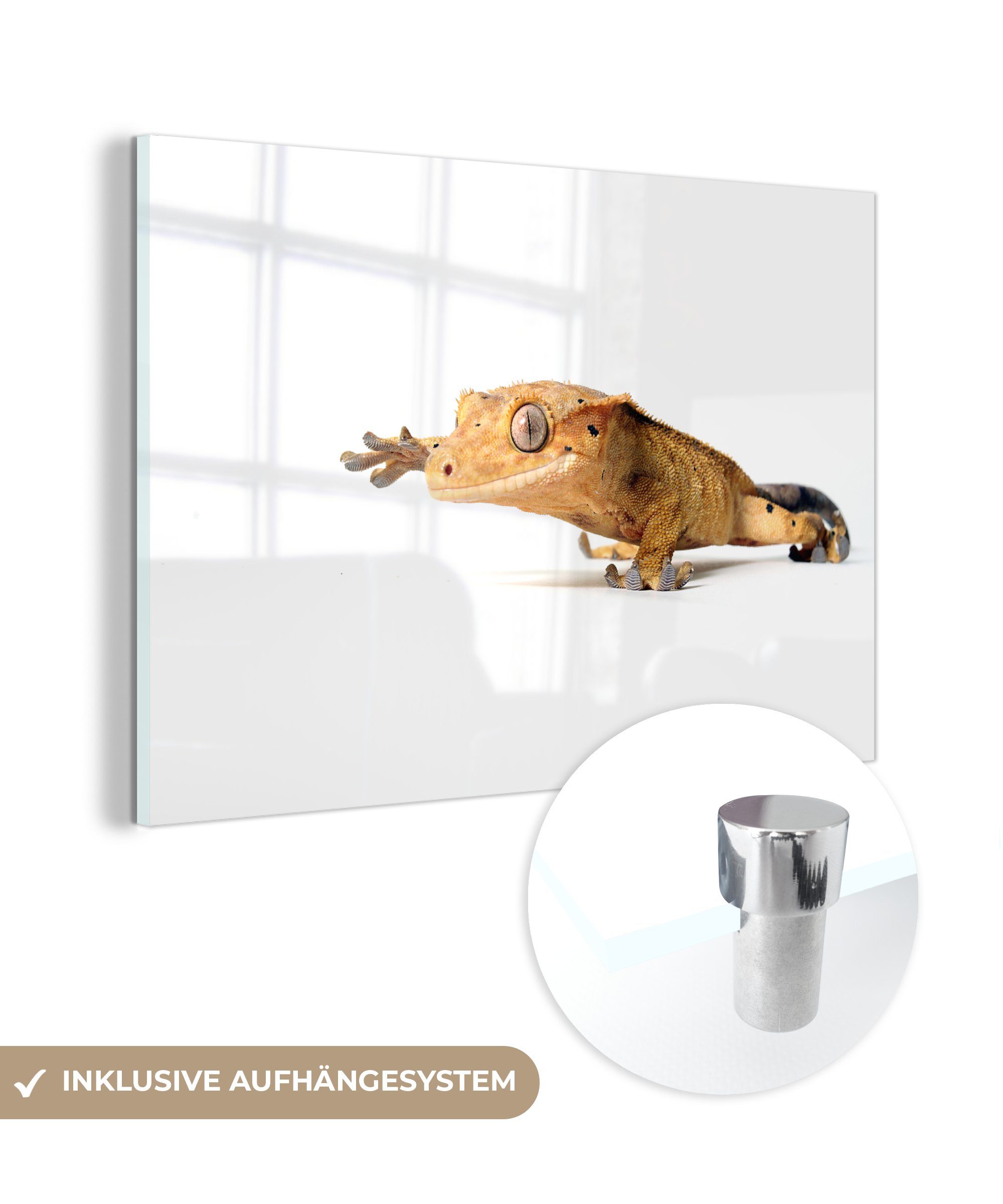 MuchoWow Acrylglasbild Laufender Gecko, (1 St), Acrylglasbilder Wohnzimmer & Schlafzimmer