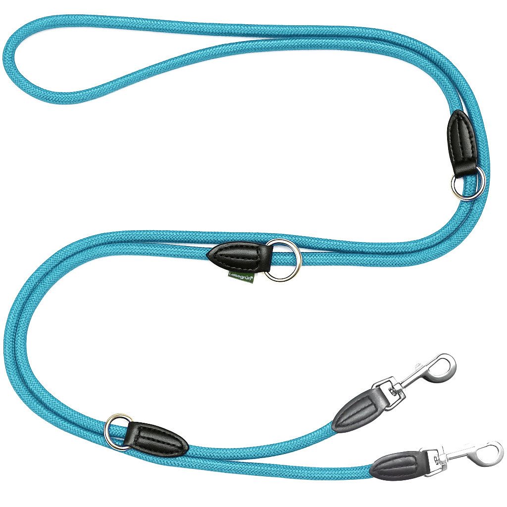 Leisegrün Hundeleine für große Hunde, 3m, 3-fach verstellbar, Nylon, Doppelleine für 2 Hunde, Führleine, Freihandleine, Trainingsleine von Leisegrün