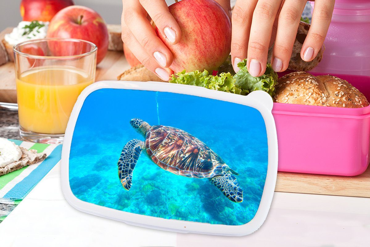 MuchoWow Lunchbox Schildkröte Kinder, Brotdose Kunststoff Kunststoff, Blau, - Brotbox Mädchen, Snackbox, Erwachsene, für (2-tlg), rosa Meer 
