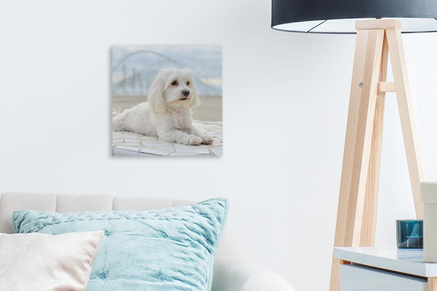 OneMillionCanvasses® Leinwandbild Ruhiger Malteser entspannt (1 St), für Schlafzimmer sich, Bilder Leinwand Wohnzimmer