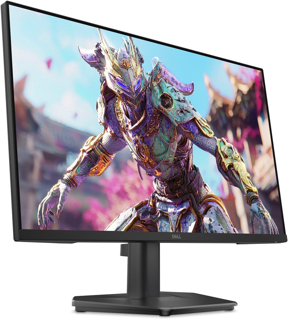 Dell SE2426HG LCD-Monitor
