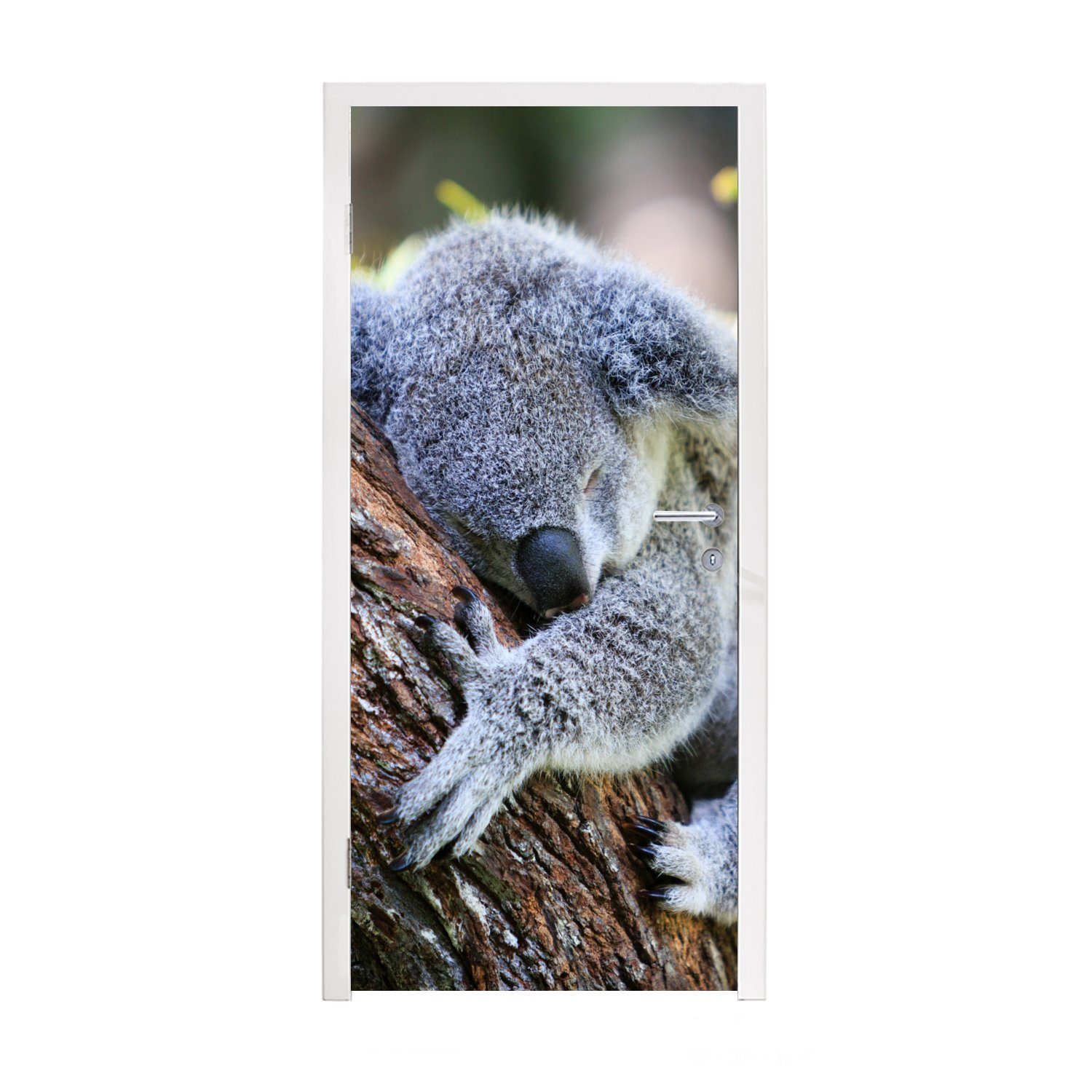 MuchoWow Türtapete Koala - Kofferraum - Kuscheltier - Jungen - Mädchen, Matt, bedruckt, (1 St), Fototapete für Tür, Türaufkleber, 75x205 cm