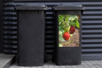 MuchoWow Wandsticker Erdbeeren - Obst - Pflanze (1 St), Mülleimer-aufkleber, Mülltonne, Sticker, Container, Abfalbehälter