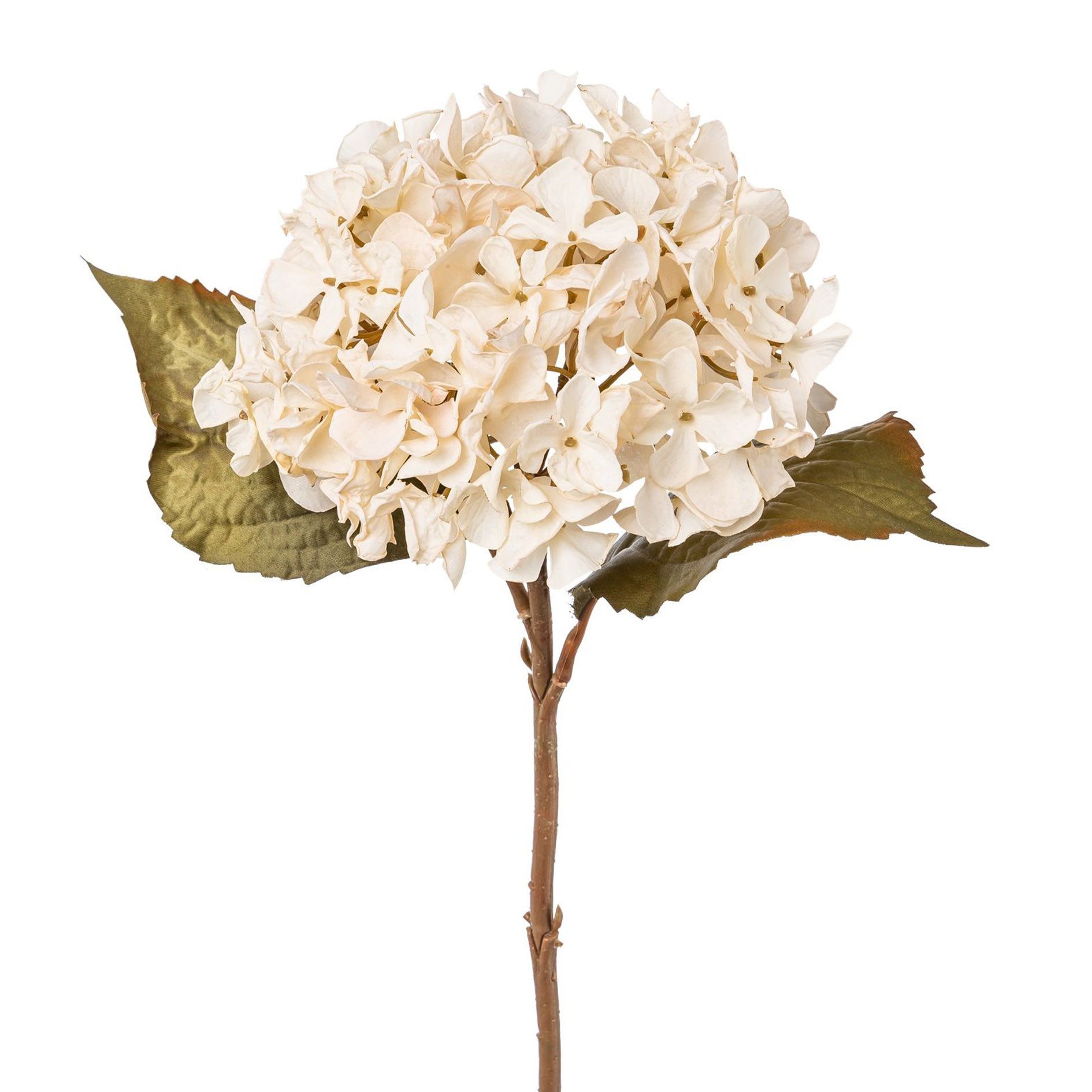 Kunstblume Kunstblume HORTENSIE 46 cm. In Trockenblumenoptik. BEIGE, Gasper