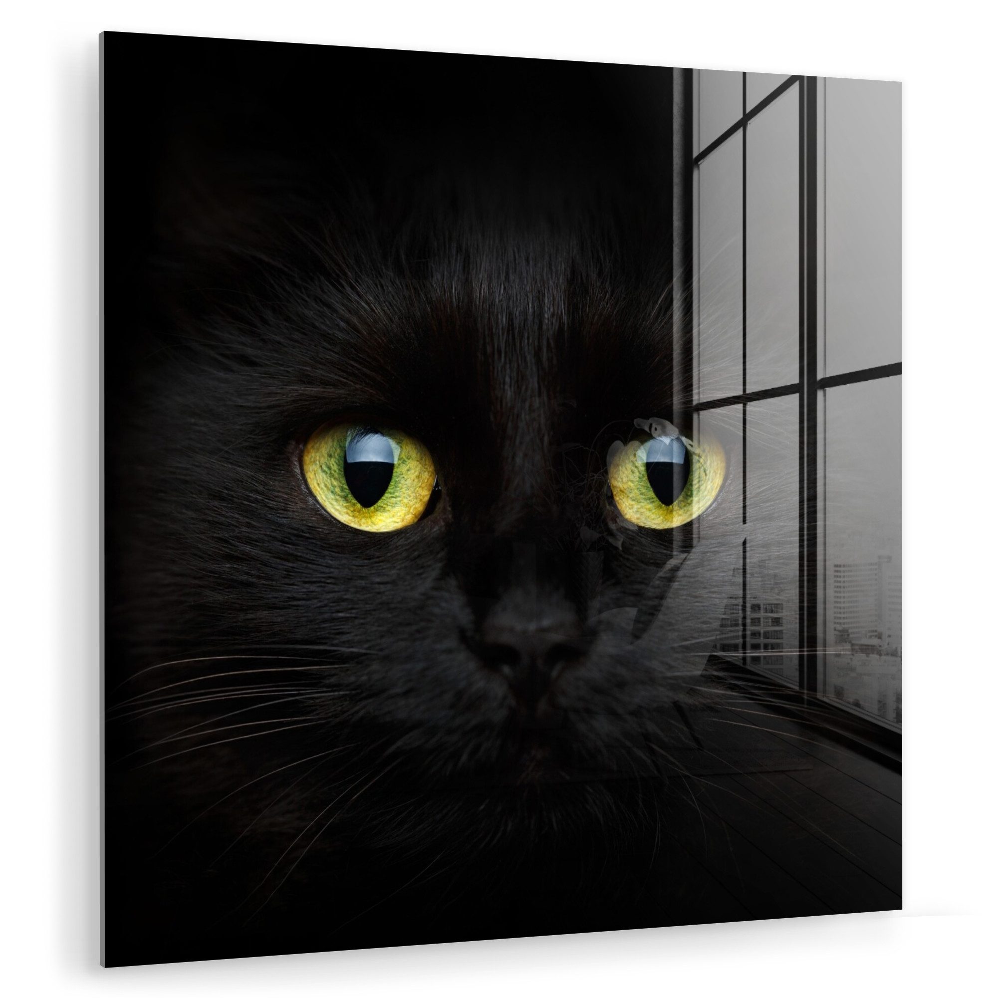 MuchoWow Acrylglasbild Katze - Schwarz - günstig online kaufen