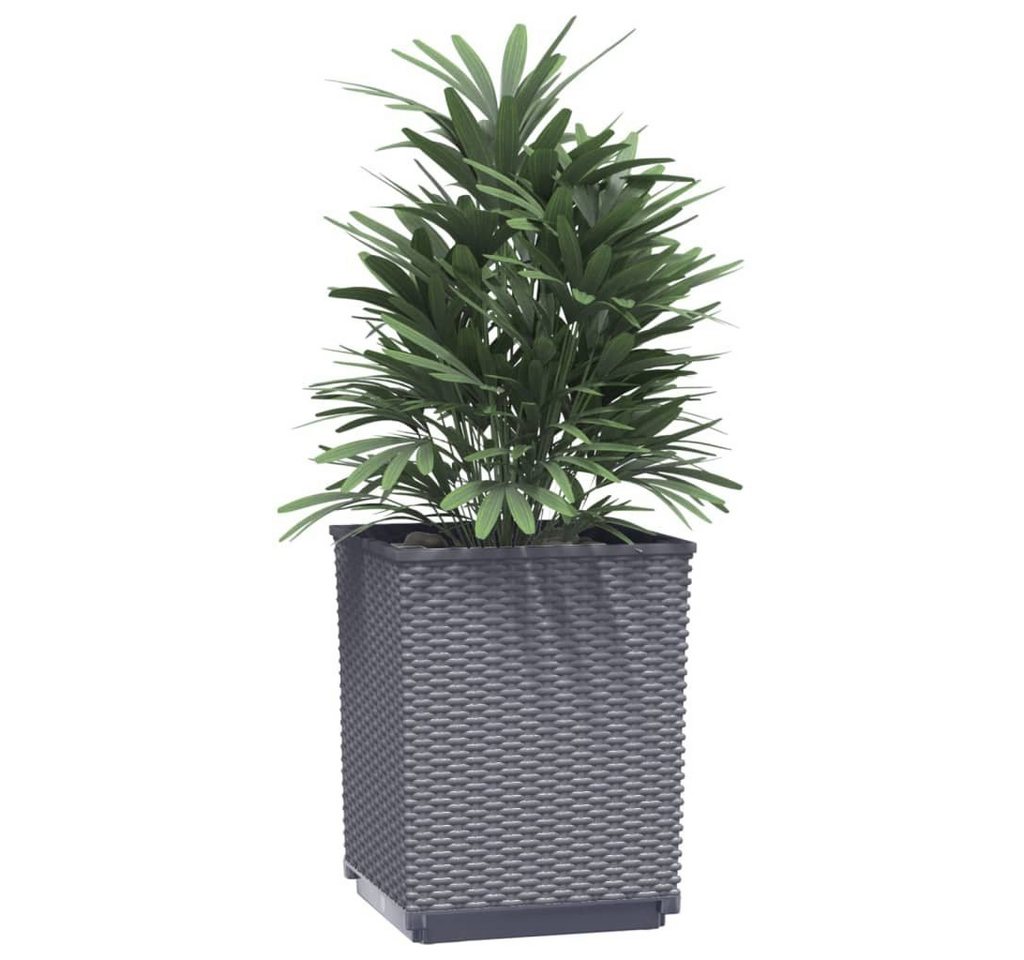 Thumbnail - vidaXL Blumentopf Pflanzkübel 4 Stk. Dunkelgrau 30x30x37 cm Polypropylen (4 St)