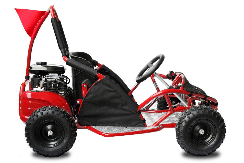 Smarty Elektro-Kinderquad 80cc Kinder Buggy GoKid Automatik Offroad quad bike gokart